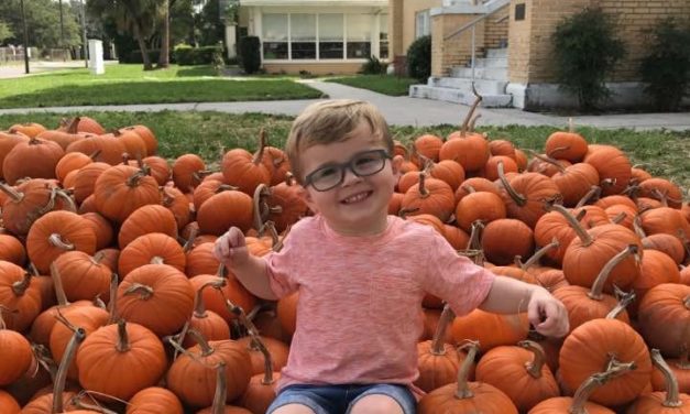 2020 Apple Orchards & Pumpkin Patches