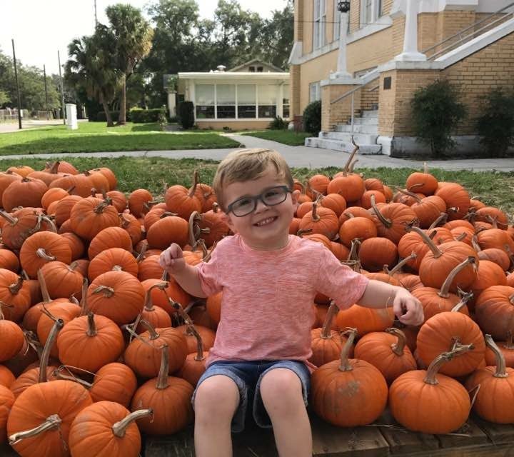 2020 Apple Orchards & Pumpkin Patches